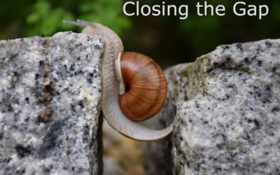 Closing the Skills Gap in Traditional Medical Education